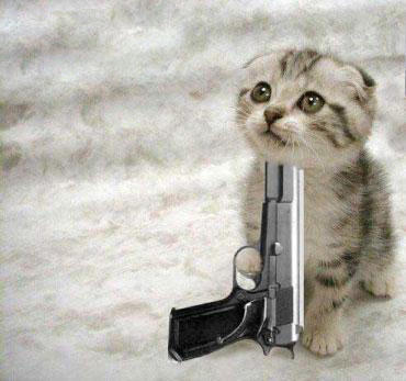 [Image: kitty-suicide.jpg]